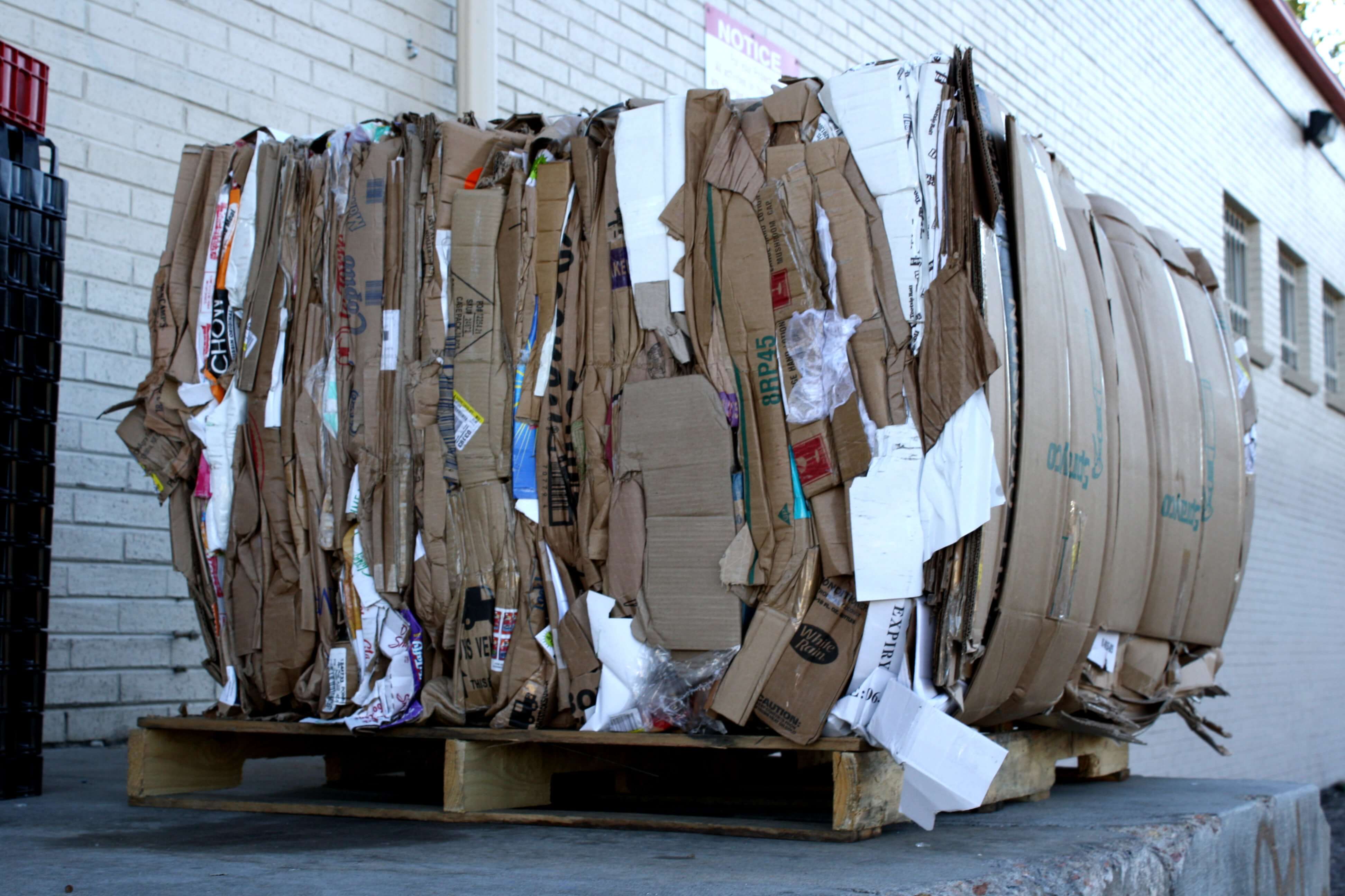 Cardboard Bale