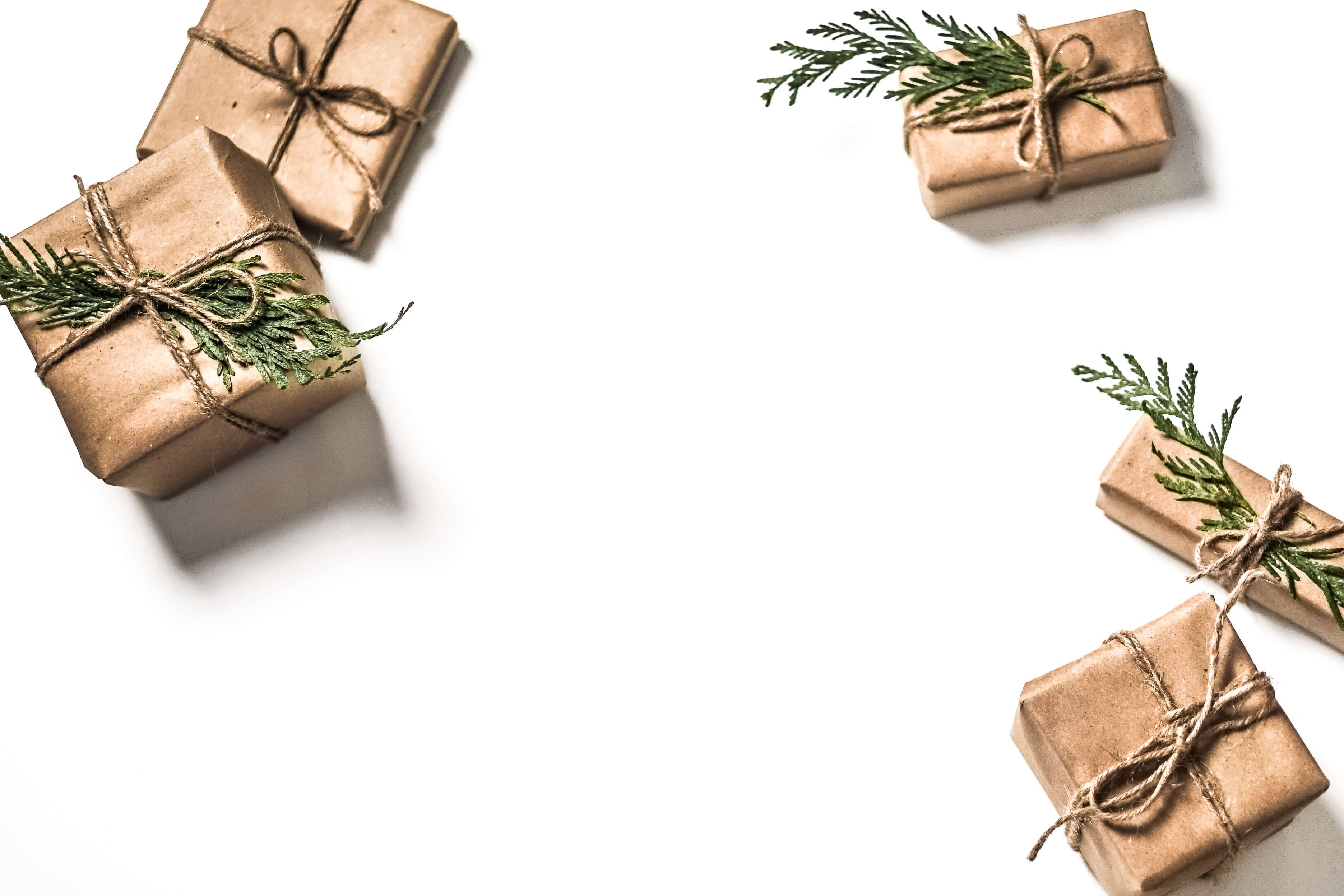 Sustainable Wrapping Paper